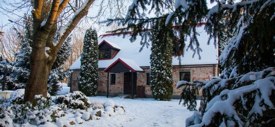 Preparing your garden and garden tiles for winter